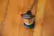 123gt Amazon Choke 122s 140 Lever 1800 142 Volvo