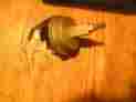 2426664 Chrysler Mopar Plymouth 1964 Variable Speed Wiper Washer Switch