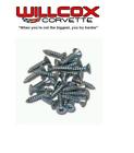 9428015 K1009 Willcox Corvette Rear Storage Compartment Bezel Screw Set Trim Screws
