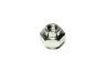 Nut10048 Msd Ignition Rotor Retaining Nut