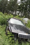 Dash Mounted Switch Sentinel Without Fog Fits 92 Eldorado 02760. Fixed Price $30.00.
