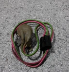 63-67 C2 Corvette Back-up Light Switch Manual 4-SPEED Trans.--gm #1993666--USED. Fixed Price $49.95.