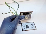 Oem 1966 Mustang Galaxie 4 Way Flasher Switch 1967 - 1969 Ford Truck W/o Air B76. Fixed Price $42.95.