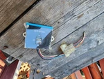 1975-1978 Cadillac Eldorado Oem Auto Antenna Switch Assembly. Fixed Price $35.00.