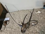 1968-85 Mopar Body Barracuda Charger Duster Cruise Control Servo 3444950. Fixed Price $95.00.