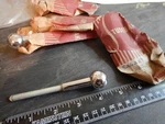 Nos 50 Studebaker Champion Instrument Panel Switch Knob Lamp Starlight. Fixed Price $19.99.