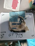 Genuine Gm 5954892 Headlight Retaining Ring 5.75 Inch 1958-76 Torn Package. Fixed Price $44.10.