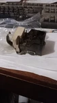 Nos 1964-1973 Various Gm Models Headlight Switch 1995155 D1578. Fixed Price $30.00.