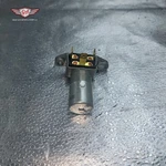 Borg Warner DS111 Dimmer Switch #219. Fixed Price $25.32.